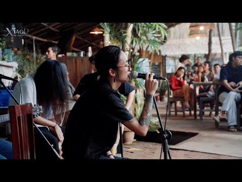 Papillons The Band – Midnight Fever Radio (Live from Kokkoya)