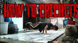 How to crickets tutorial