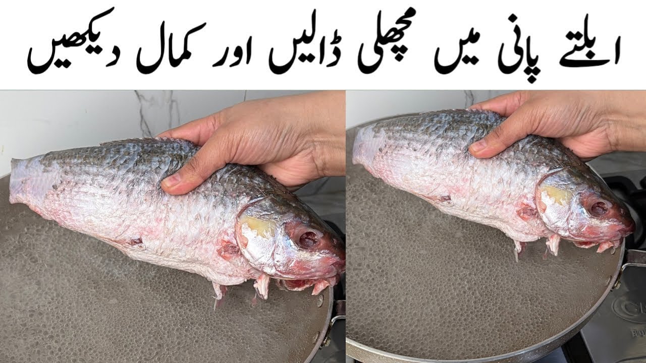 Yummy and Healthy New Fish Recipe l Ramadan Special Fish Recipe l Dinner, Lunch Recipe