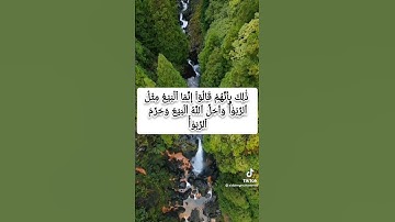 القران الكريم بصوت القاري الزين محمداحمد قرأه خاشعه تلاوه سودانيه ماشاءالله تبارك الله ربنا يحفظ ي