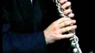Learn to Play Klezmer Music by Andy Statman chords