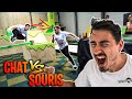 VA-T-ON RESTER CHAMPION DU MONDE DU JEU DU CHAT !? (version extreme)