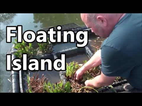 A Floating Island For The Pond - Water Clarity And Pond Filter Update
