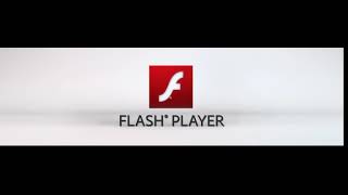Famous Adobe Flash Player Animation Logo Profile