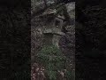 JAPÃO SANTUÁRIO ABANDONADO #abandoned #abandonedhouse #exploraçãourbana #assombrado