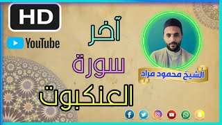 تلاوة تأثر القلب️ || اواخر سورة العنكبوت || انعزل عن ضجيج العالم قليلا