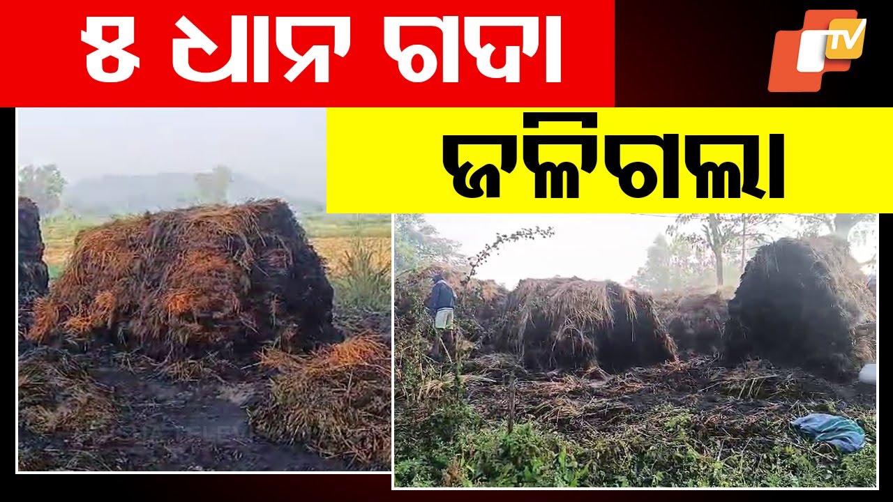 Fire Destroys 6 Acres of Paddy Crops in Aska - YouTube