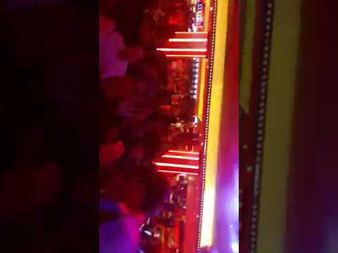 Cashire wild - casino codere