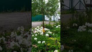 картинка: Тупее не бывает  Советую посмотреть и посмеяться