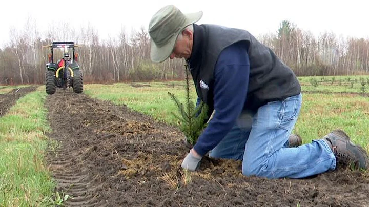 Sowing the seeds of sustainability