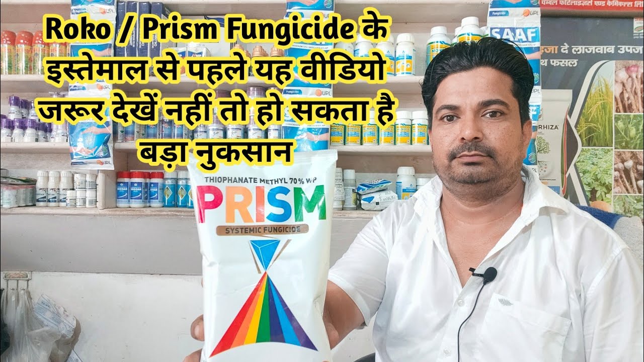 Roko Fungicide / Prism Fungicide / Thiophanate Methyl 70 WP Kaise Kam