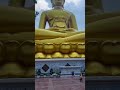 Biggest Buddha I Ever Saw Wow Thailand Buddha Temple Bangkok 