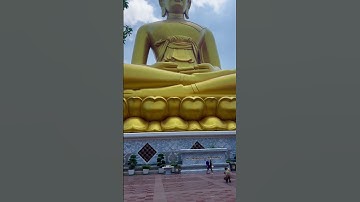 Thumbnail of Biggest Buddha i ever saw wow #thailand #buddha #temple #bangkok