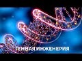 Редактирование ГЕНОВ. Имеем ли мы право менять людей?