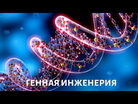 Видео: Иммунно-родственная генная сигнатура для прогнозирования плоскоклеточного рака головы и шеи