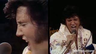Dueling Elvis - Cant Help Falling In Love