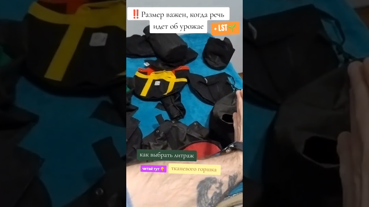 Размер имеет значение | Как выбрать литраж тканевого горшка для рекорда