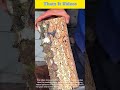 Wooden Vase Carving : Traditional Craft
