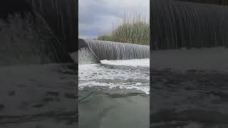 Emandla Omfula Or Isiziba