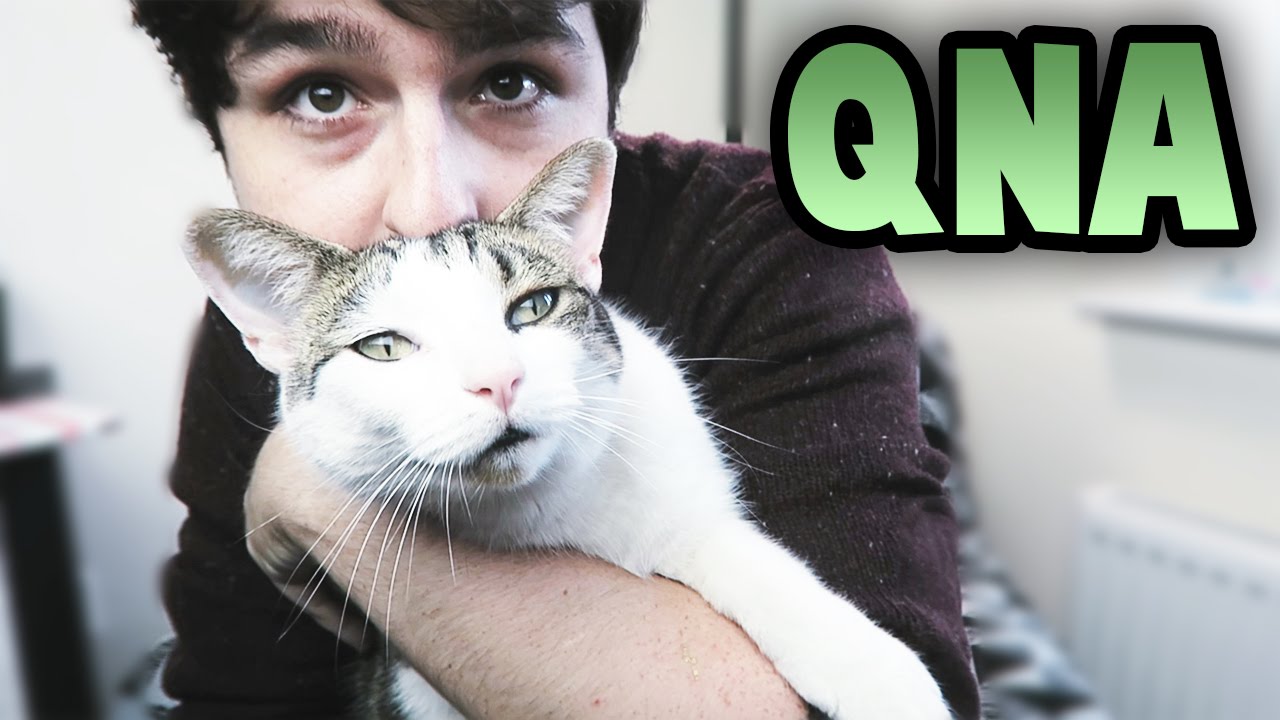 Teaching Buddy to Dab | QnA