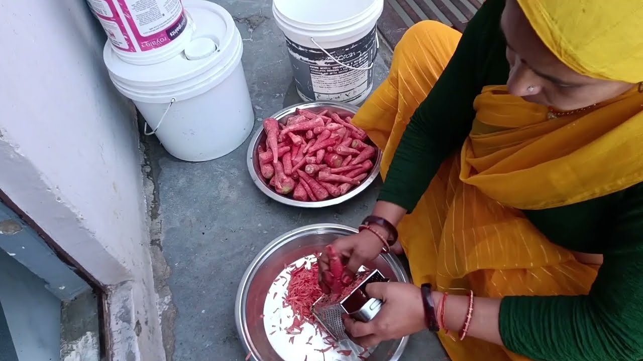 ✨आज में गयी पंडित राम प्रसाद बिस्मिल जी के गाओं 🫂# daily vlogs# Madhu's family vlogs 