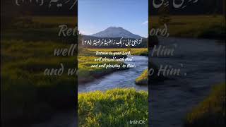 Surah Al-Fajr (Verses 27-30) recited by Sheikh Noreen #quranrecitation #shorts #whatsappstatus