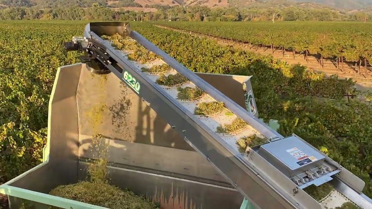 Oxbo PremiumSort - PremiumDestem