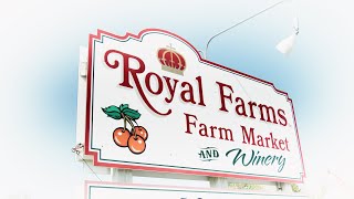 Where Can You Find the Best Hard Cider in Michigan? | A Royal Experience