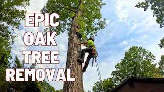 Famous Epic Oak Tree removal Rigging Over House Wealth