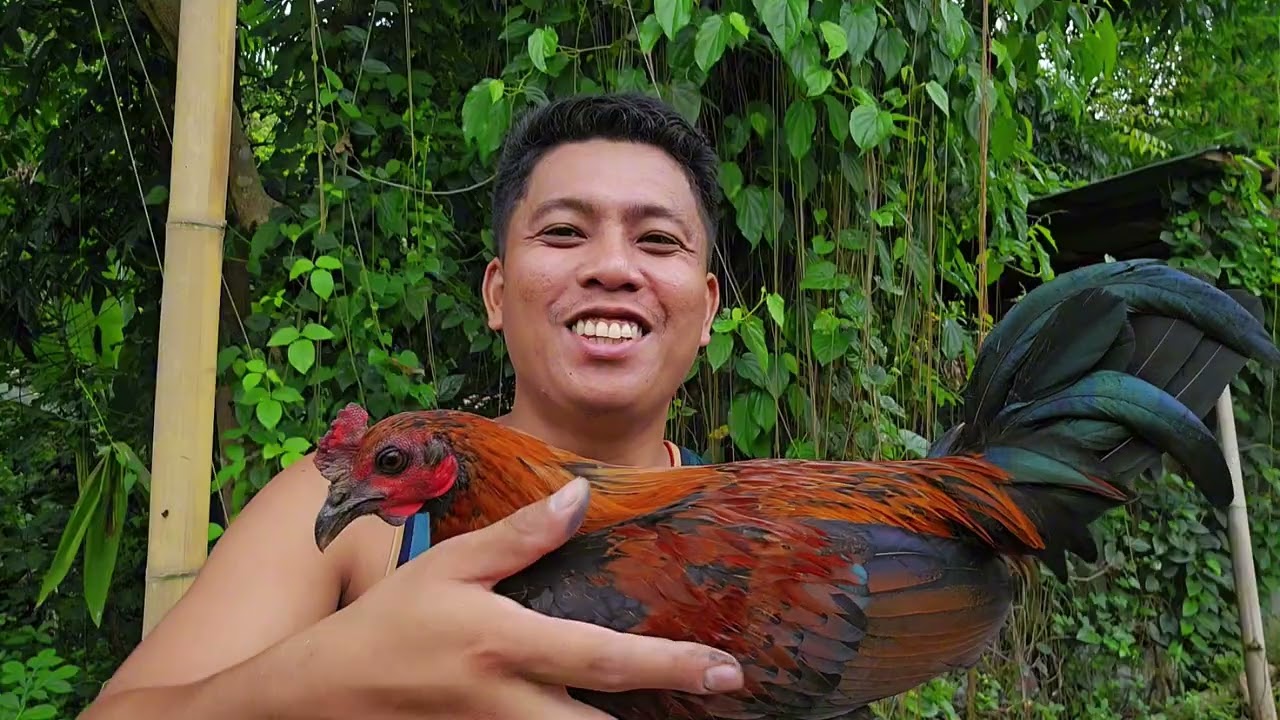 Mga alaga ako