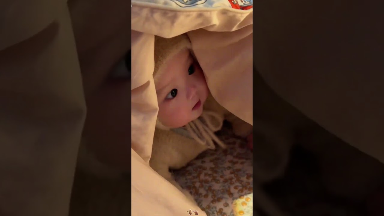 Nhìn các em bé này trộm vía quá! 🥹🥹