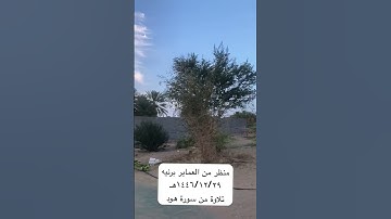 دحيم الحماد ١٤٤٦ ه منظر من العماير برنيه تلاوة من سورة هود