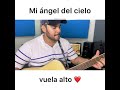 Vuela alto/Roberto vivan