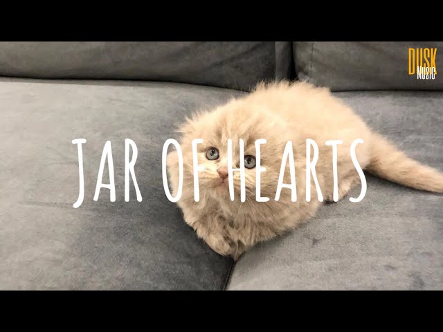 Jar of Hearts (remix lofi) - Fasetya // Dangling  (Video  Lyrics) class=