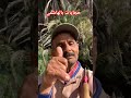 ألغاز وحجايات بالهاشمي #حكايات #حكايات #اكسبلور #الصباره #الصباره #دويتو