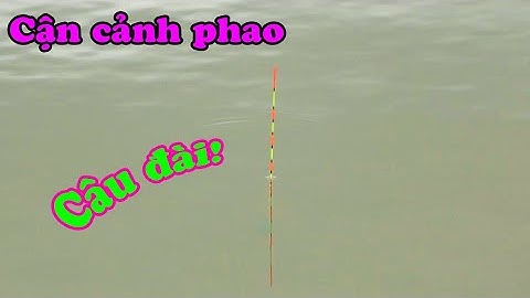 Câu cá Thiên nhiên - Cận cảnh phao câu đài