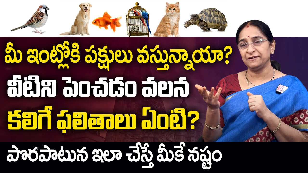 Ramaa Raavi Dharma Sandehalu | ఇంట్లోకి పక్షులు వస్తున్నాయా? | ఇంట్లో పక్షులు పెంచుతున్నారా |SumanTV
