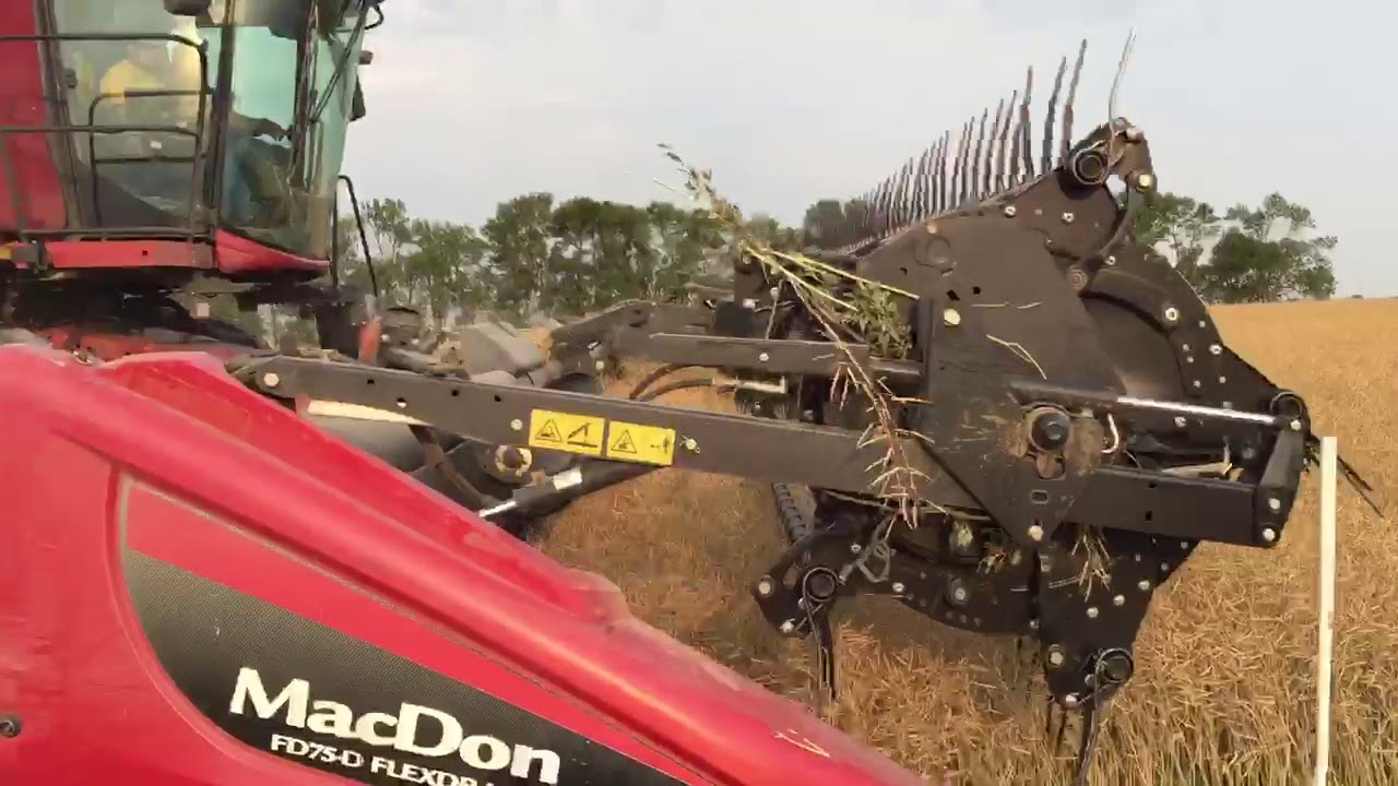 08/31/17 Eberts Harvesting YouTube