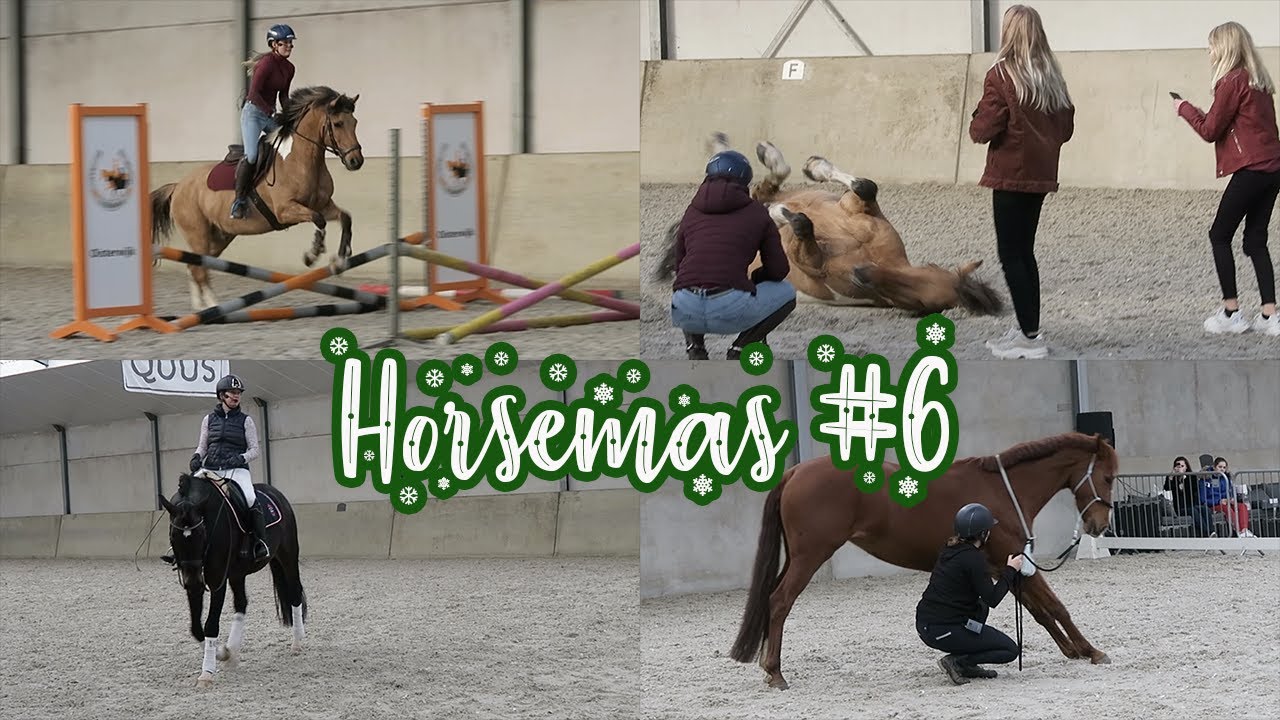 QUUS EXPERIENCE MET FELINE EN ROMY OUDSHOORN HORSEMAS DAG 6