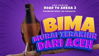 Tembakannya Seperti OHARA!!! BIMA, Murai Batu Hutan Terakhir Dari ACEH