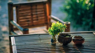 Glimpse of Backyard I 3D Visualization I 1080p HD I KSV DESIGNS