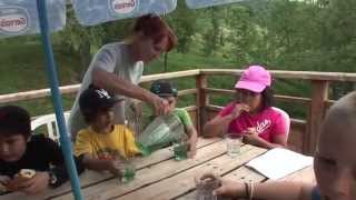 Les Classes Vertes En Savoie - Ascd - Cg73