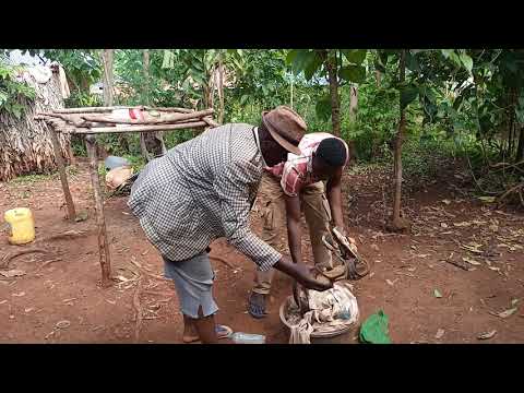 Video: Papa Huwasalimu Wageni