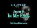 New italo disco 2024  stevie b  in my eyes  extended remix dj vice