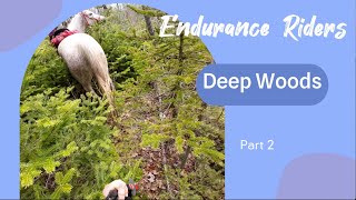 Nervous endurance horses maneuver through DEEP WOODS.| Journey to 100 miles. | GOPRO