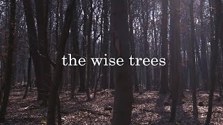 The wise trees