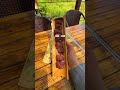【長野・観光】この春に行きたい！長野県の絶景スポット５選！！