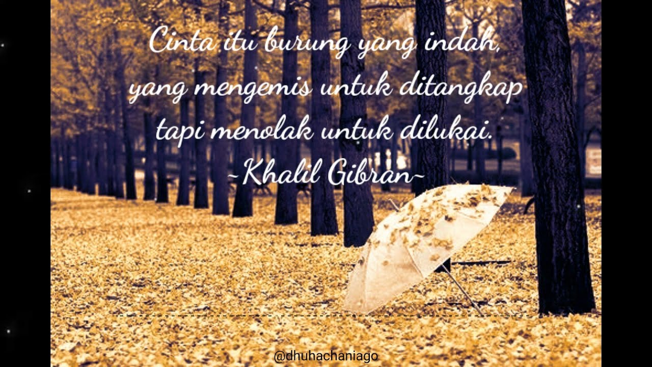 Video Quotes Romantis Bikin Baper Status WhatsApp Terbaru - YouTube