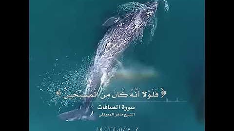 سورة الصافات | الشيخ ماهر المعيقلي