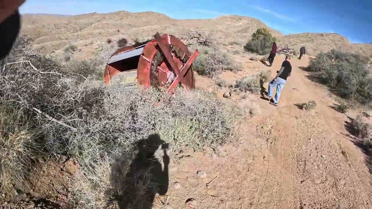 Mojave Preserve Jan 2026